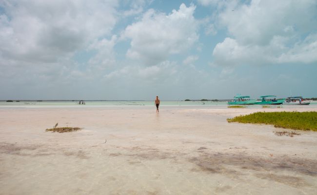 Manglares de Santa Paula cosas que hacer en isla mujeres