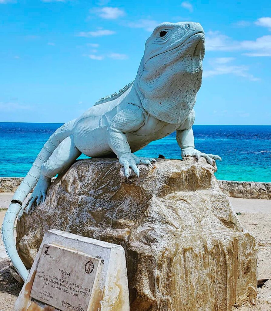 Mirador punta sur